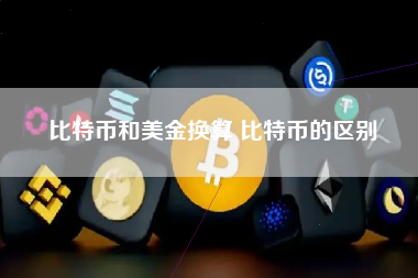 比特币和美金换算 比特币的区别