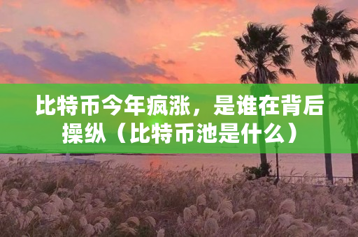 比特币今年疯涨,是谁在背后操纵(比特币池是什么)