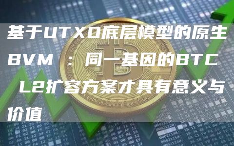 基于UTXO底层模型的原生BVM :同一基因的BTC L2扩容方案才具有意义与价值