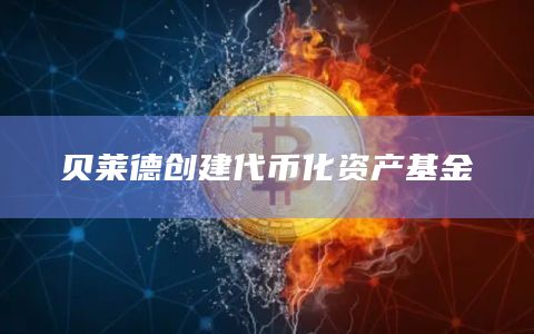 贝莱德与代币化公司Securitize合作