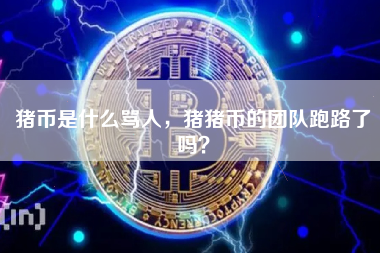 猪币是什么骂人,猪猪币的团队跑路了吗?