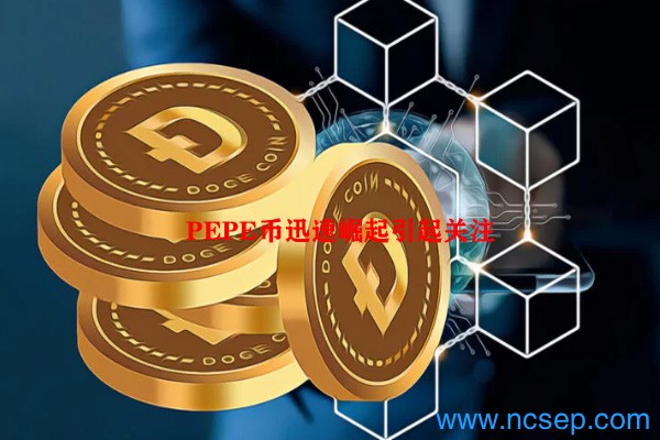 PEPE币迅速崛起引起关注