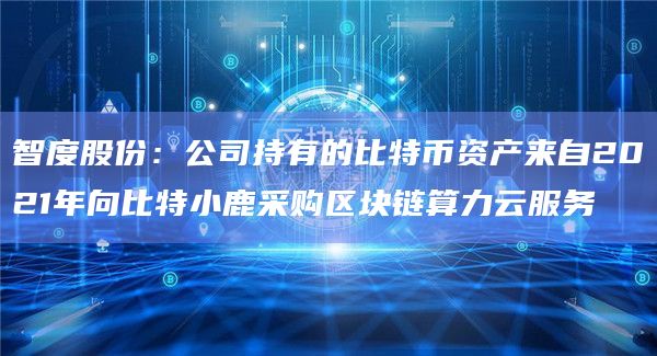 智度股份:公司持有的比特币资产来自2021年向比特小鹿采购区块链算力云服务