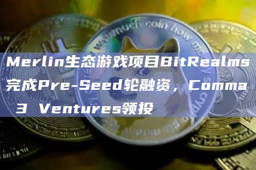 Merlin生态游戏项目BitRealms完成Pre-Seed轮融资,Comma 3 Ventures领投