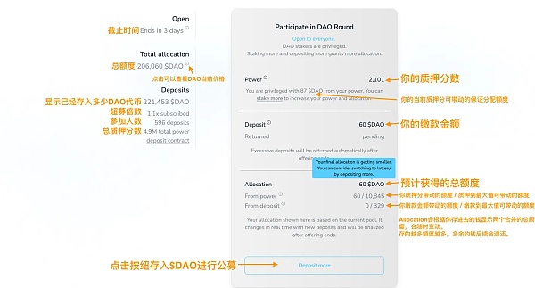 DAO Maker打新全流程