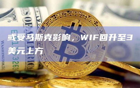 或受马斯克影响，WIF回升至3美元上方