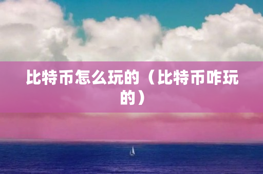 比特币怎么玩的(比特币咋玩的)