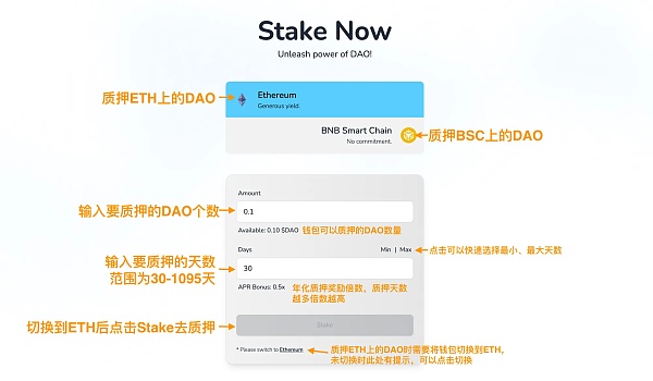 DAO Maker打新全流程