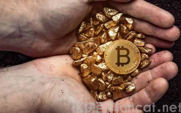 币安交易所app下载 币安biance交易所