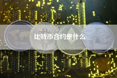 比特币合约的类型