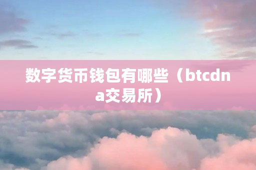 数字货币钱包有哪些(btcdna交易所)