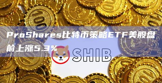 ProShares比特币策略ETF美股盘前上涨5.3%