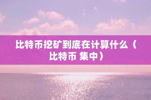 比特币挖矿到底在计算什么(比特币 集中)