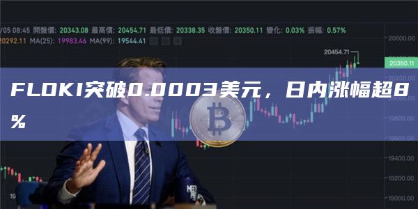 FLOKI币今日价格突破0.0003美元