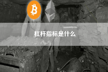 杠杆指标是什么