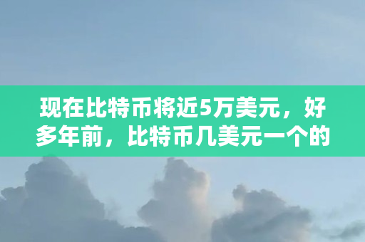 现在比特币将近5万美元,好多年前,比特币几美元一个的时候,进场的人到今天都成为亿万富翁了吗(各种币比特币的区别)