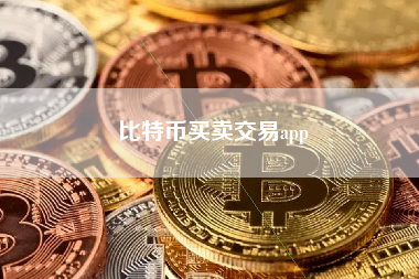 比特币交易app的使用流程