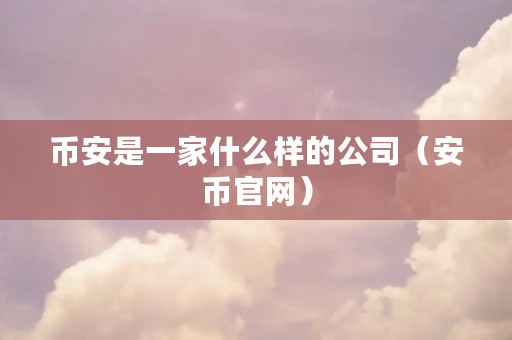币安是一家什么样的公司(安币官网)