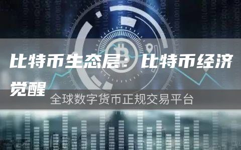 比特币生态层