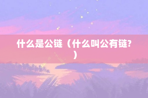 什么是公链(什么叫公有链?)