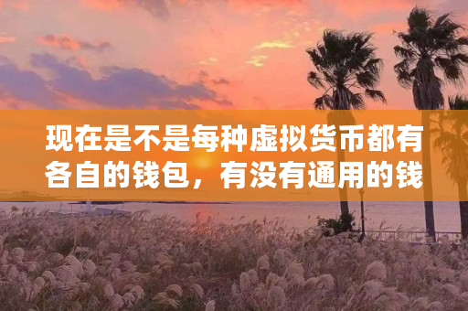 现在是不是每种虚拟货币都有各自的钱包,有没有通用的钱包,放在平台安全吗(山寨币钱包通用吗安全吗)