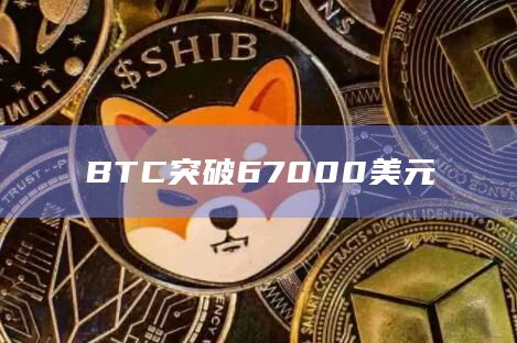 BTC/比特币价格突破67000美元