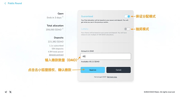 DAO Maker打新全流程