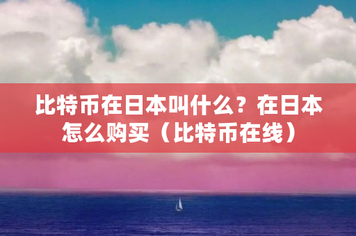 比特币在日本叫什么?