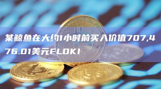 某鲸鱼在大约1小时前买入价值707,476.01美元FLOKI