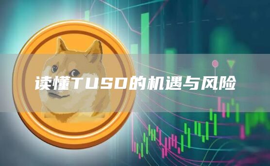 读懂TUSD的机遇与风险