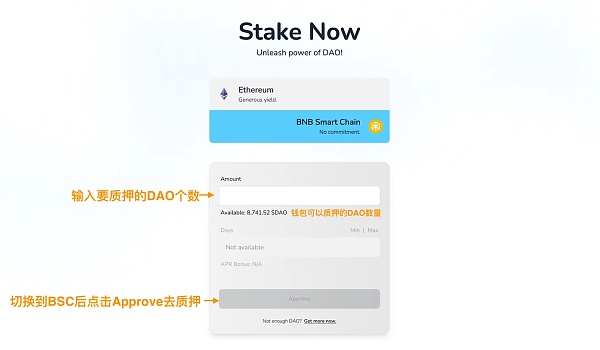 DAO Maker打新全流程
