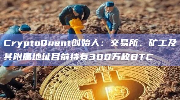 交易所、矿工及其附属地址目前持有300万枚BTC