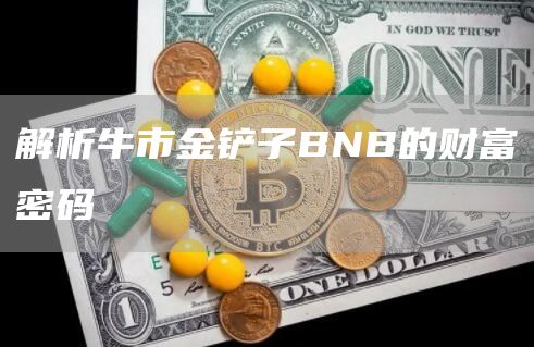 为什么说BNB代币是这轮牛市的金铲子?