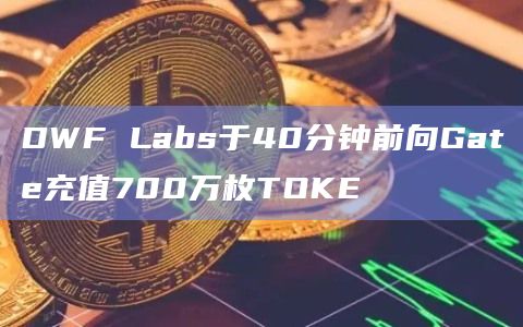 DWF Labs于40分钟前向Gate充值700万枚TOKE