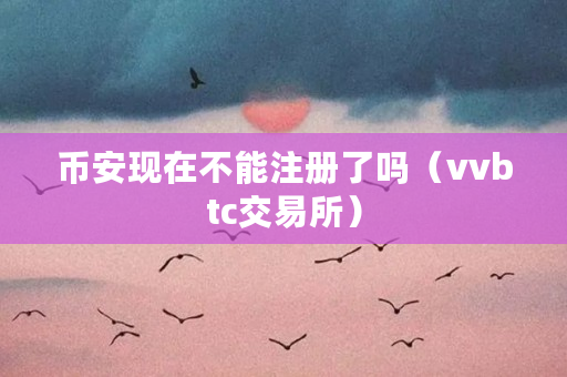 币安现在不能注册了吗(vvbtc交易所)