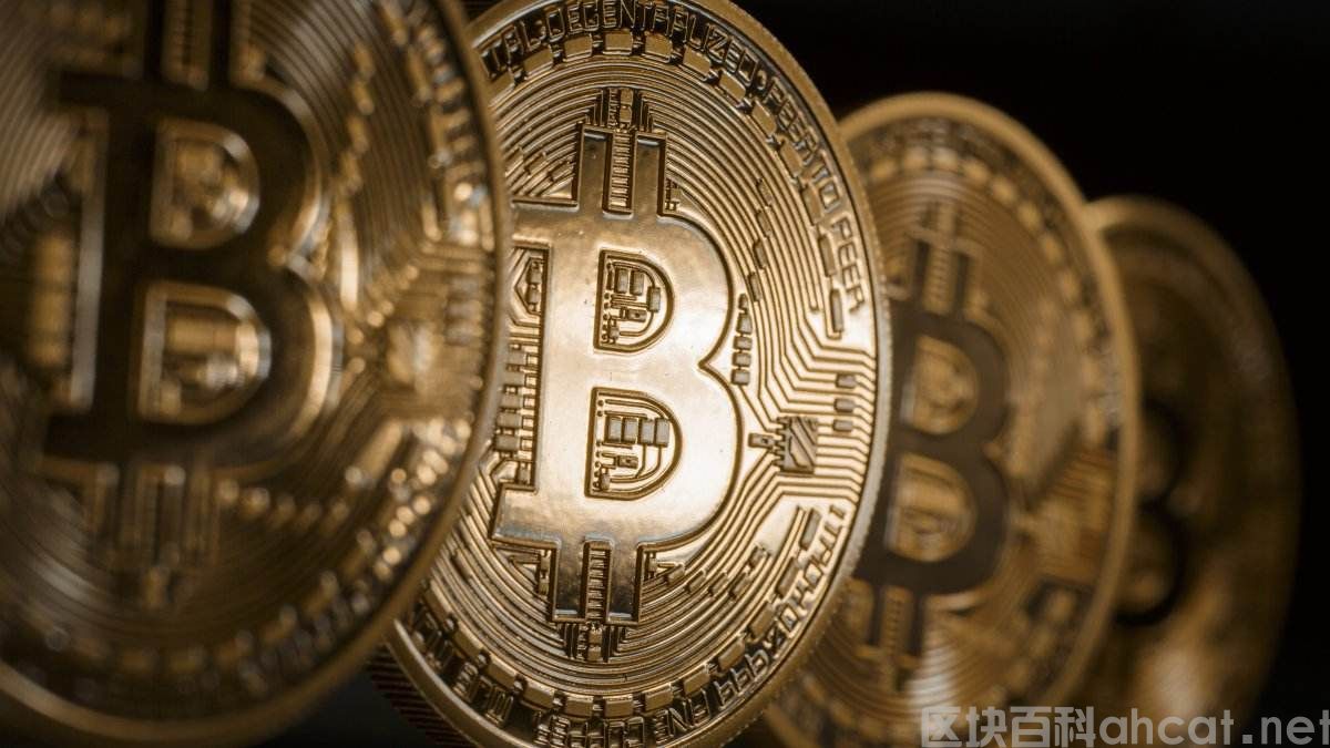 币安交易所app下载 币安biance交易所