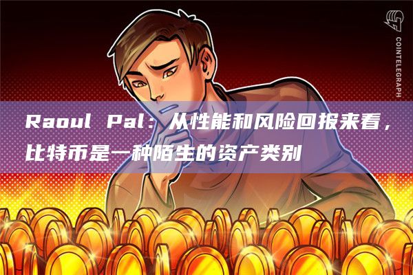 Raoul Pal：从性能和风险回报来看，比特币是一种陌生的资产类别