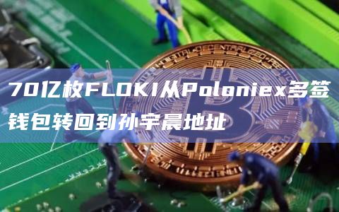 70亿枚FLOKI从Poloniex多签钱包转回到孙宇晨地址
