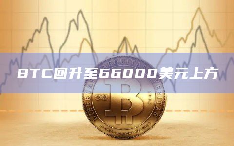 BTC/比特币回升至66000美元上方