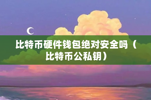 比特币硬件钱包绝对安全吗（比特币公私钥）