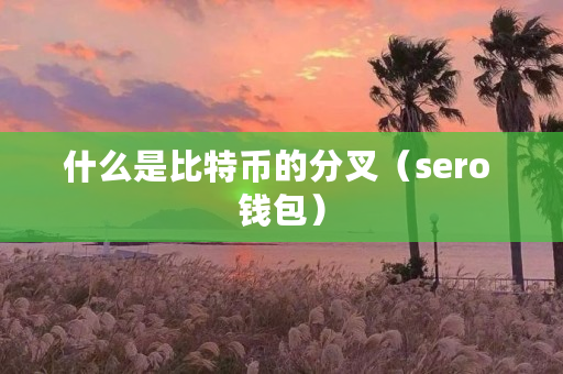 什么是比特币的分叉（sero 钱包）