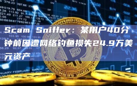 Scam Sniffer：某用户40分钟前因遭网络钓鱼损失24.9万美元资产