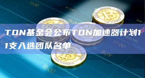TON基金会公布TON加速器计划入选团队名单