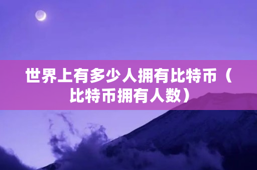 世界上有多少人拥有比特币(比特币拥有人数)