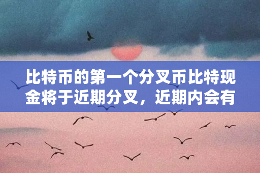比特币分叉出来的bch、btg等分叉币是什么？