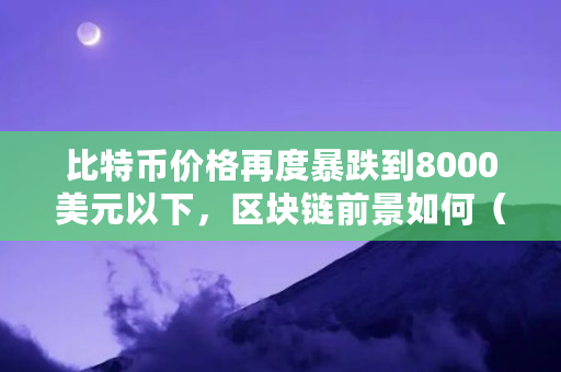 比特币价格再度暴跌到8000美元以下,区块链前景如何(比特币大趋势)