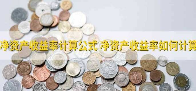 影响净资产收益率主要有哪些因素？