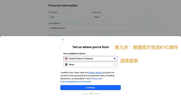 DAO Maker打新全流程