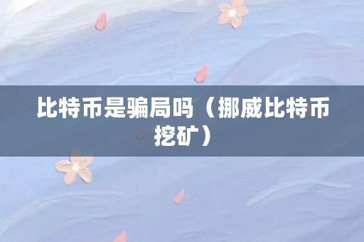 比特币是骗局吗（挪威比特币挖矿）