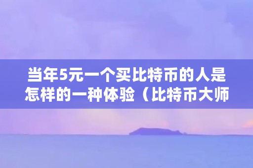 当年5元一个买比特币的人是怎样的一种体验(比特币大师兄最新动态)